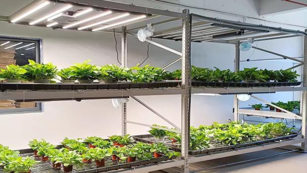 grow glide racks grow glide racks